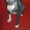 котят донских сфинксов - Изображение #1, Объявление #88541