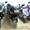 мотоциклы в наличии и под заказ - Изображение #1, Объявление #139042