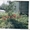 Ухоженный сад в Кзыл - Байраке - Изображение #3, Объявление #217456