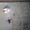 Алмазное сверление (бурение) отверстий в стенах,  перекрытиях,  полах,  ф #245084