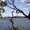 Участок на берегу озера Средний Кабан - Изображение #6, Объявление #257220