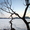 Участок на берегу озера Средний Кабан - Изображение #8, Объявление #257220