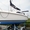 Круизная килевая яхта Hunter260, дизель - Изображение #1, Объявление #307844