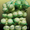 Сетка-мешок для фасовки овощей, фруктов, упаковки дров от компании ООО Эталон - Изображение #6, Объявление #281554
