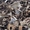 металлолом в Казани куплю дорого, самовывоз, демонтаж - Изображение #2, Объявление #496279