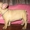породистого щенка фр.бульдога - Изображение #1, Объявление #484868