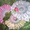 Свадебная флористика ОПТОМ - Изображение #1, Объявление #540924