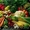 Самые низкие цены на овощи и фрукты - Изображение #1, Объявление #917294
