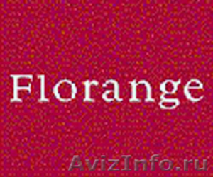 Начни честно зарабатывать с Florange! - Изображение #2, Объявление #27844