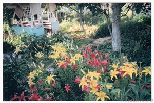 Ухоженный сад в Кзыл - Байраке - Изображение #2, Объявление #217456