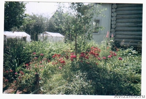 Ухоженный сад в Кзыл - Байраке - Изображение #3, Объявление #217456
