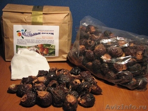 Мыльные орехи, мыльные индийские ягоды, сапиндус в Казани. - Изображение #1, Объявление #262037