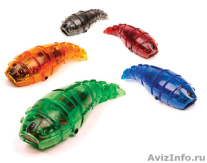 Робот-личинка (насекомое) - Изображение #1, Объявление #610159