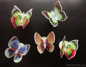  интересный свет бабочки  - Изображение #4, Объявление #610180