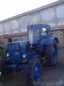 Продам трактор Т-40 ам(срочно) - Изображение #3, Объявление #696524