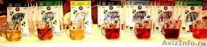 Инновационный чай Tea Stir ищем дилеров в регионах