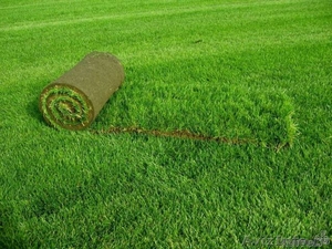 Подготовка почвы и укладка газона - Изображение #1, Объявление #886918