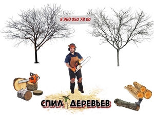 Спил небольших деревьев, кустарников в Казани - Изображение #1, Объявление #1725690