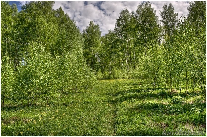 Продаю участок 10 соток в 15 км.от центра Казани в с.Семиозерка. - Изображение #2, Объявление #1155246